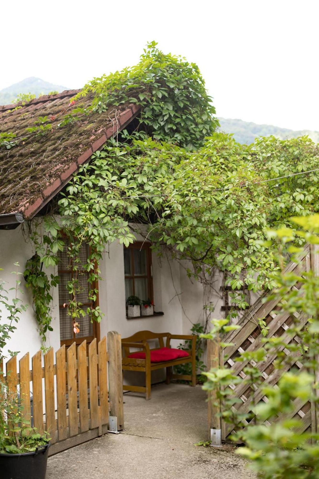 Hotel Steinschalerhof Warth  Zewnętrze zdjęcie