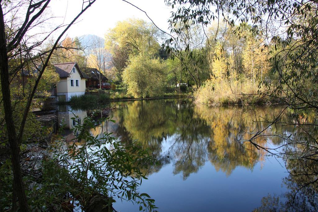 Hotel Steinschalerhof Warth  Zewnętrze zdjęcie