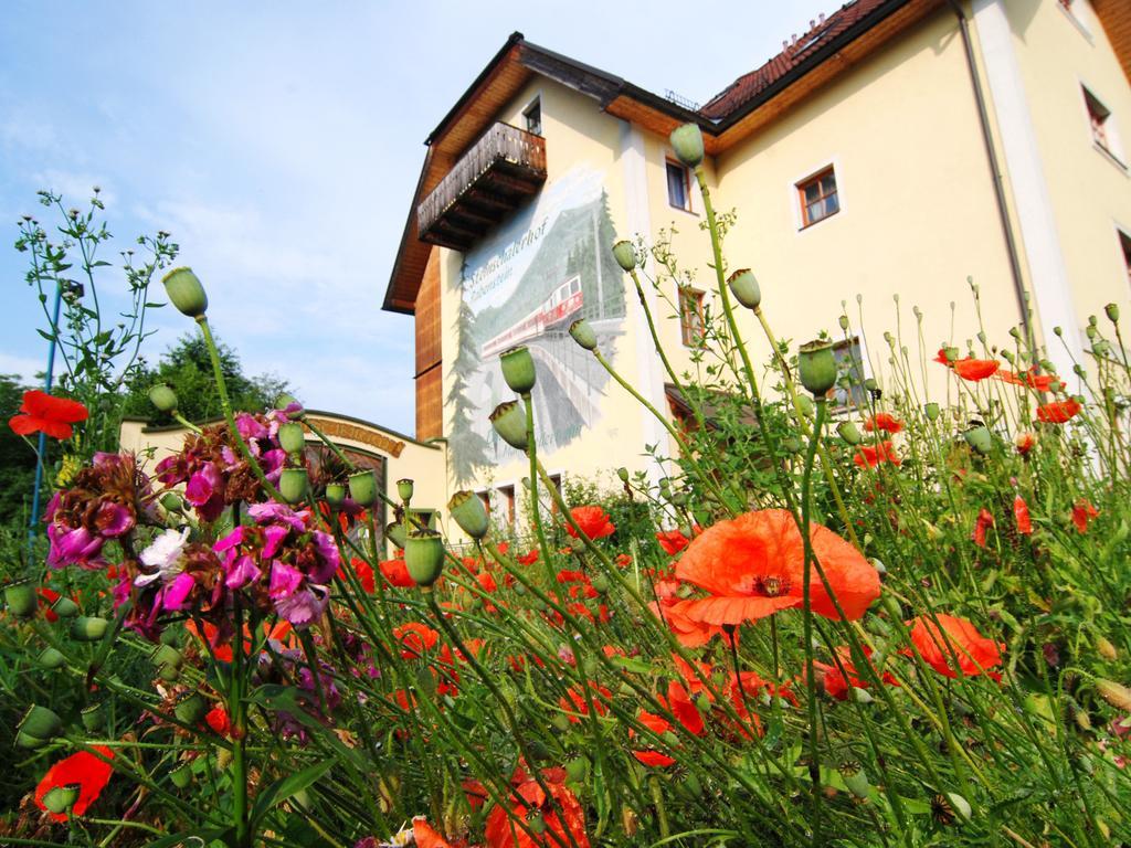 Hotel Steinschalerhof Warth  Zewnętrze zdjęcie